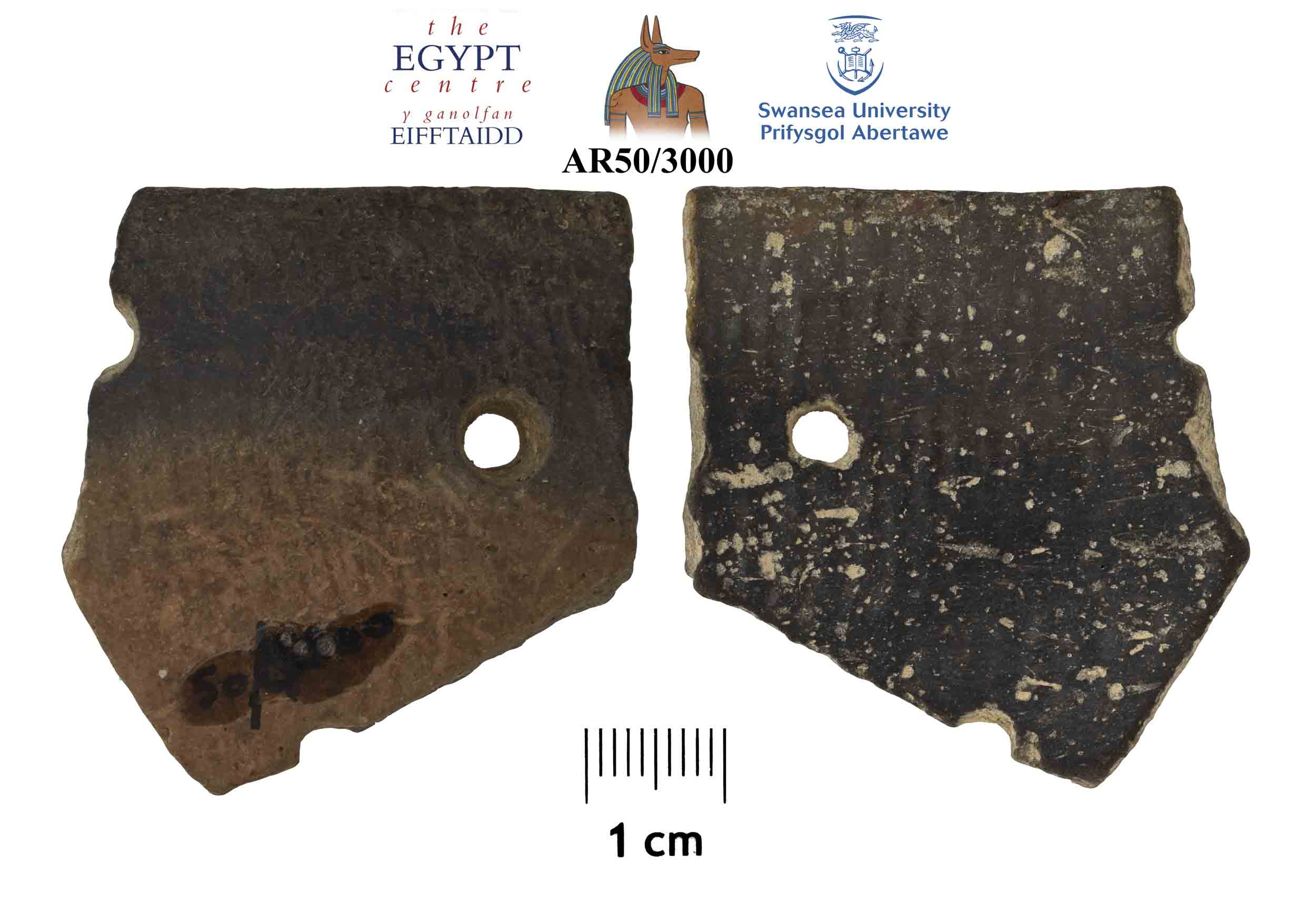 Image for: Rim sherd from a pottery vessel